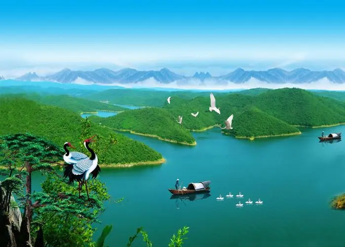 节能高标准全自动